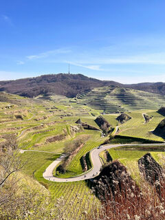 Rennradbeschilderung Texas Pass 4