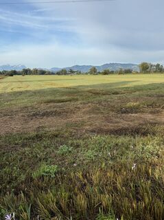 Foto da H Elsner lungo il tour