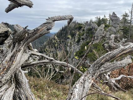 Foto von Ralf Umminger entlang der Tour