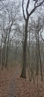 Fotografija s spletne strani Szőlősi József na poti