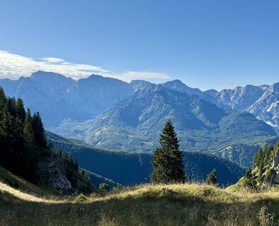 Foto von Natur_erleben_dg entlang der Tour