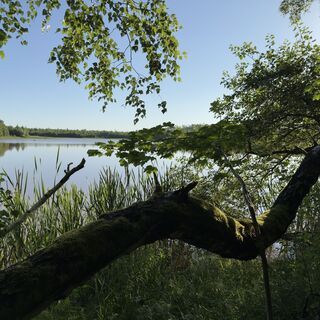 Foto von Steffen Kiesel entlang der Tour