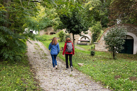 Wanderer auf der VIA.CELLA VINARIA.
