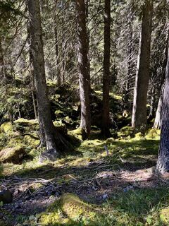 Fotografija s spletne strani F A 4 na poti