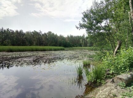 Naturlehrpfad Caßlauer Wiesenteiche