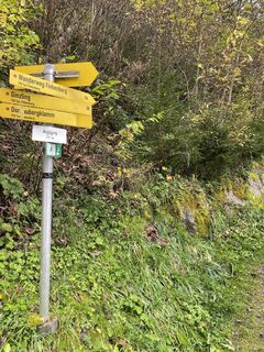 Photo from freundinderberge along the tour