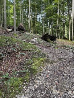 Foto von Fred Speight entlang der Tour