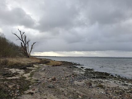 Foto de nordbergschnecke a lo largo del recorrido