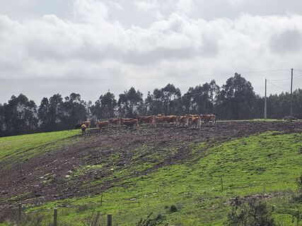 Foto de an6rewrome a lo largo del recorrido