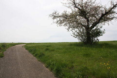 Zur Hochfläche Straßdorf