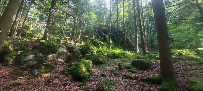 Fotografia z Klaus Gruber 3 na trase