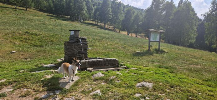 Foto från Mauro Rossi under resans gång