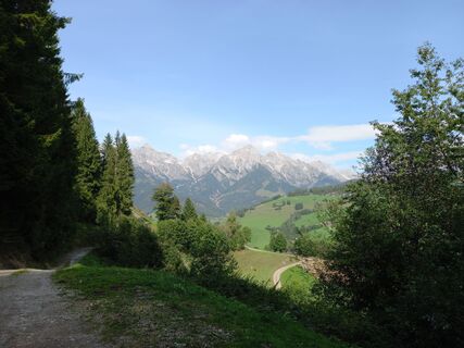 Zdjęcie z Tamás Kiss (Mr. Mojo) wzdłuż trasy