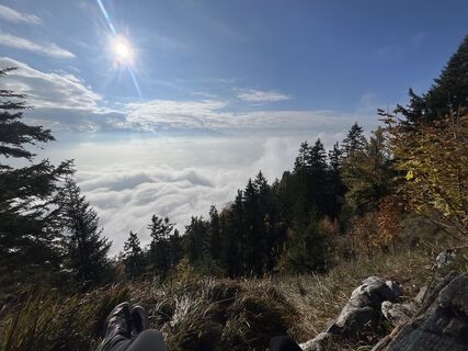 Photo de sophie le long du parcours