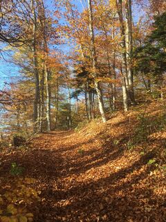 Kuva osoitteesta Robert Kremlicka matkan varrella