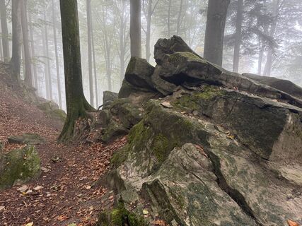 Fotografija s spletne strani Norbert Herbig na poti