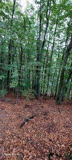 Foto von Vermes Sandor78 entlang der Tour