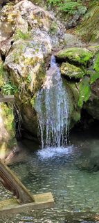 Foto da Nicky lungo il tour