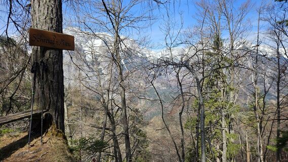 Fotografija s spletne strani kriessda na poti