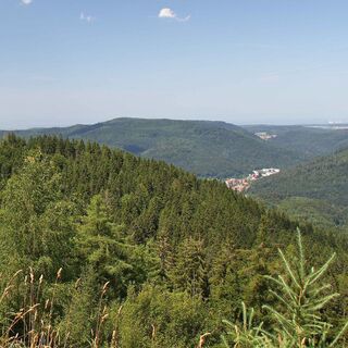 Aussicht am Hahnenfalzweg