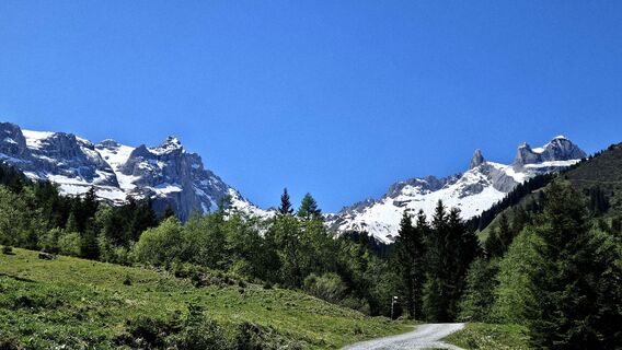 Fotografija s spletne strani Iris Habitzel na poti