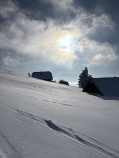 Фото с сайта Heinz Sperl во время экскурсии