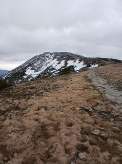 Photo de Daniel Kremiec le long du parcours