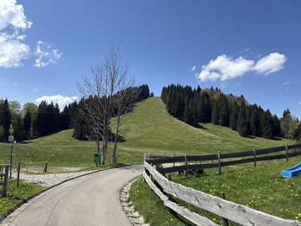 Foto von Similaun entlang der Tour