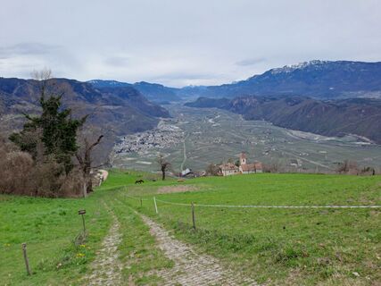 Photo de Elisabeth Thaler le long du parcours