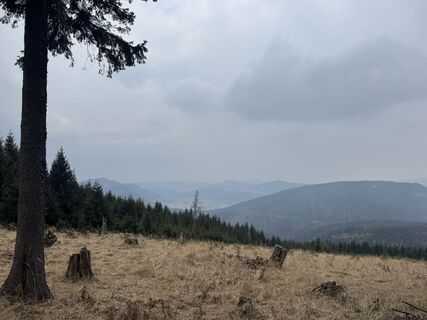 Fotografija s spletne strani zizi a na poti