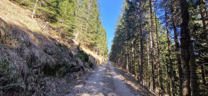 Photo de Utassy Tóth Johanna le long du parcours