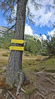 Foto von Fuchs Irene entlang der Tour