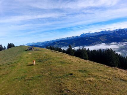 Foto da Jens Brunner lungo il tour