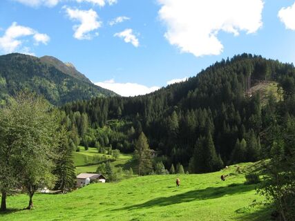 Beweidung