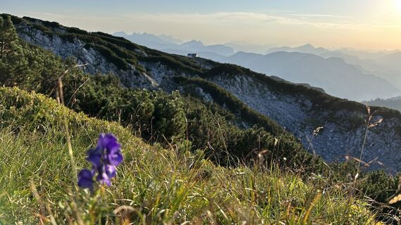 Fotografia z Mountain Cat ? ⛰️ na trase