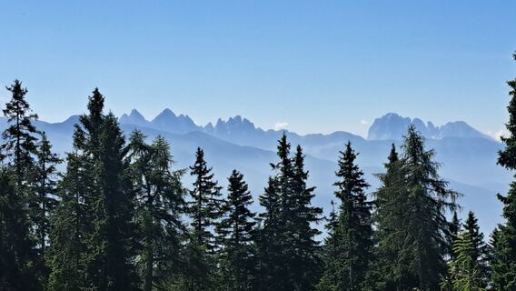 Fotografija s spletne strani Daniel Riedo na poti