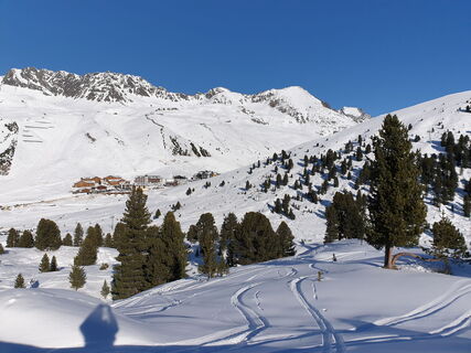 Alpenrose St.Sigmund