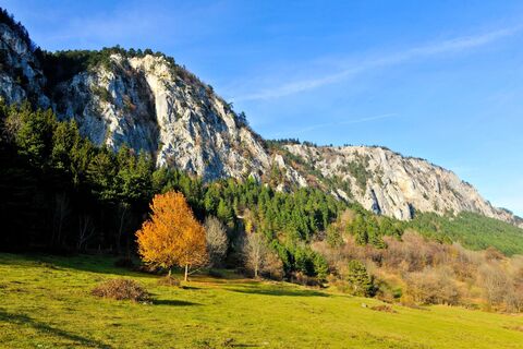 Hohe Wand
