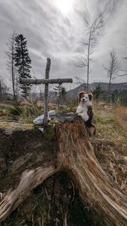 Fotografie z Klaus Lehner na trase