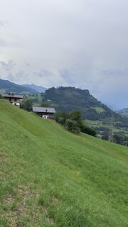 Foto von Mountain Cat ? ⛰️ entlang der Tour