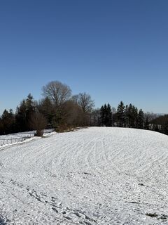 Fotografia z Reinhard Frewein na trase