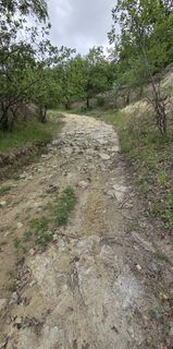 Fotografija s spletne strani János Zsolt Mahr na poti