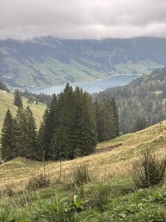 Foto de Sergio Baselgia a lo largo del recorrido