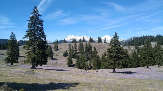 Fotografie z Davor Puklin na trase