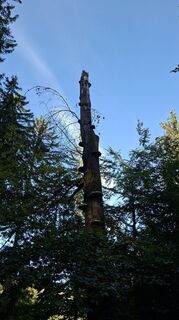 Foto von Markus Pöggeler entlang der Tour