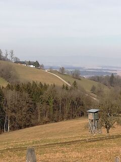Blick zum Almhaus Hochsteinberg