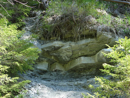 Gipseinlagerungen zwischen den Muschelkalk-Schichten