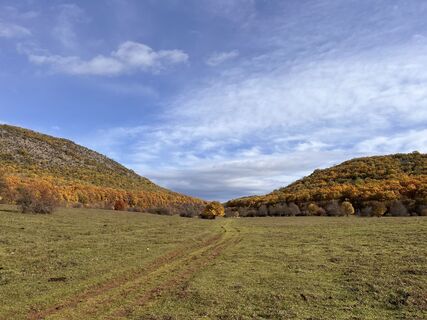 Foto de Márta Harangozó a lo largo del recorrido
