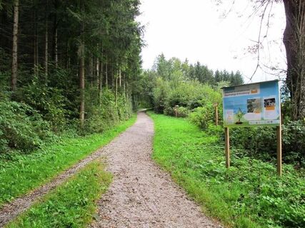 Vogellehrpfad Kehrwald