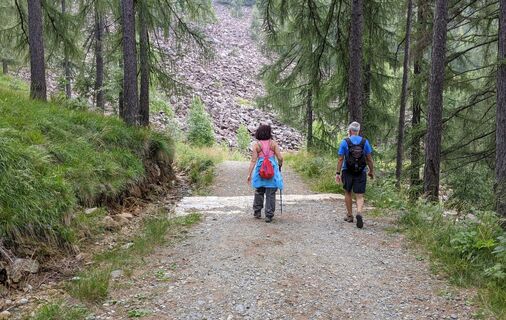 Weg im Naturpark mit dem Peridotitblockbach im Hintergrund